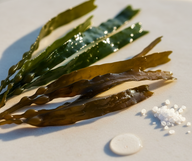 Seaweed Extract