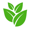 No Artificial Ingredients